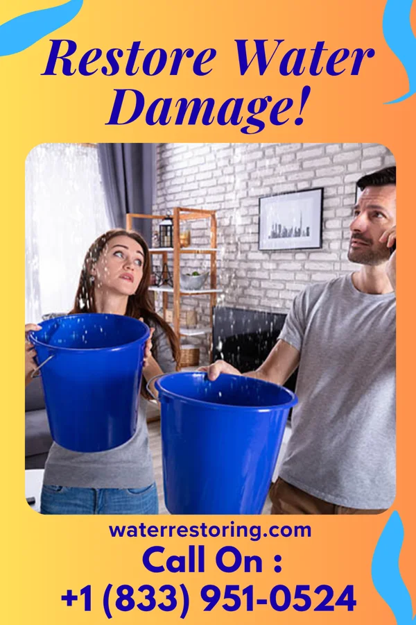 water restoration Complete Disaster Cleanup Professionals Bealeton
